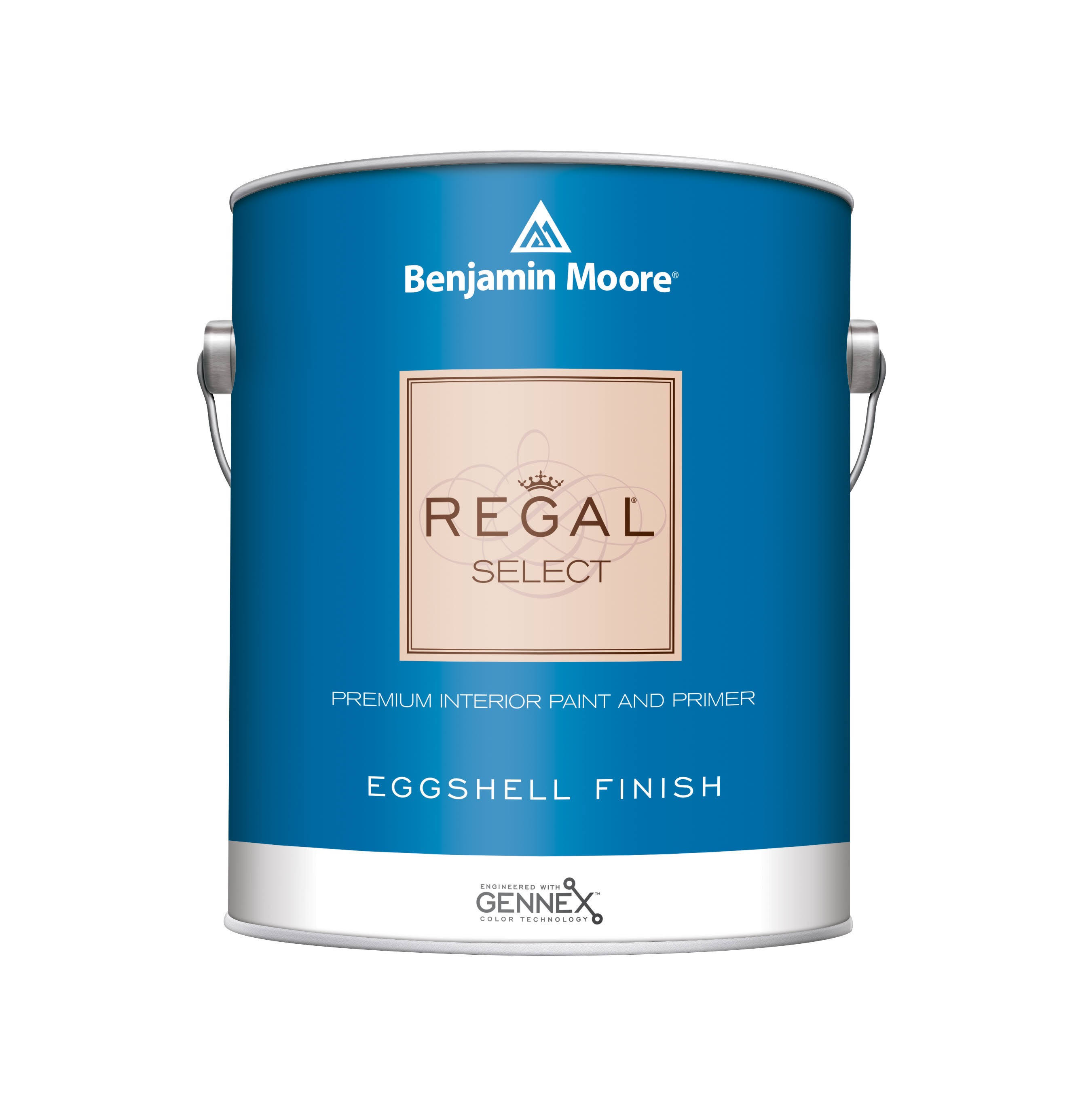 Benjamin Moore Regal Select Eggshell White Paint Interior 1 Gal