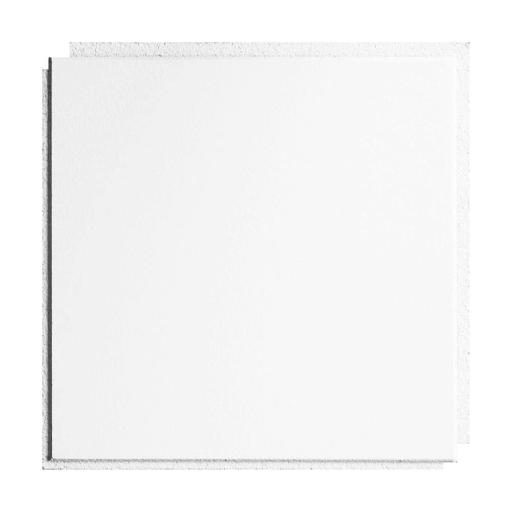 Armstrong Ceilings Washable White 12-in x 12-in White Surface-Mount Ceiling Tile 40-Pack | 231g