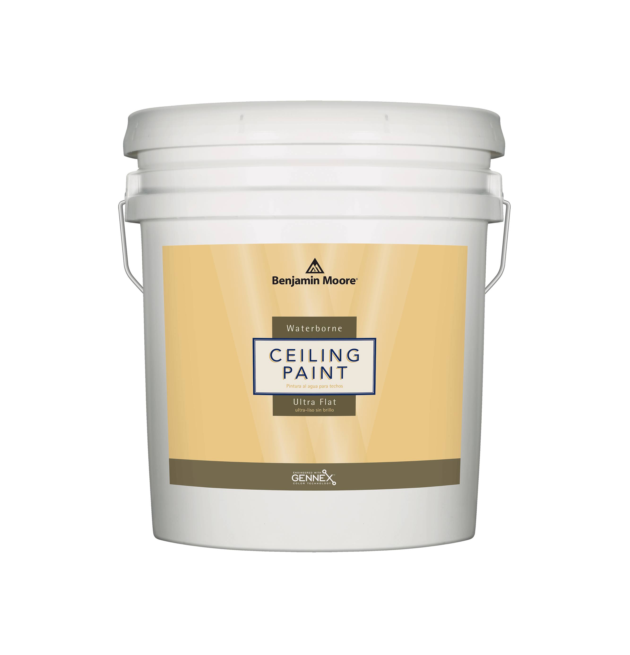 Benjamin Moore Waterborne Ceiling Paint 5 Gallon / White