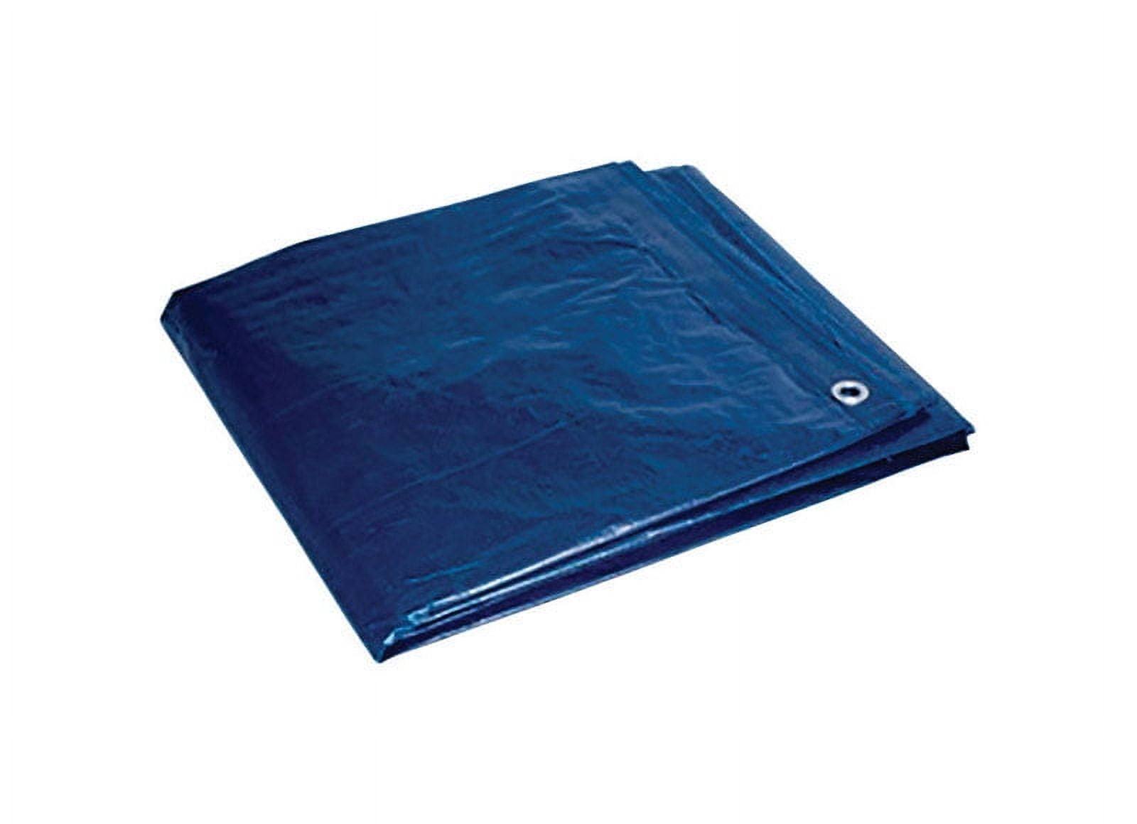 Foremost Tarp 81012 Tarp Blue 10'x12'