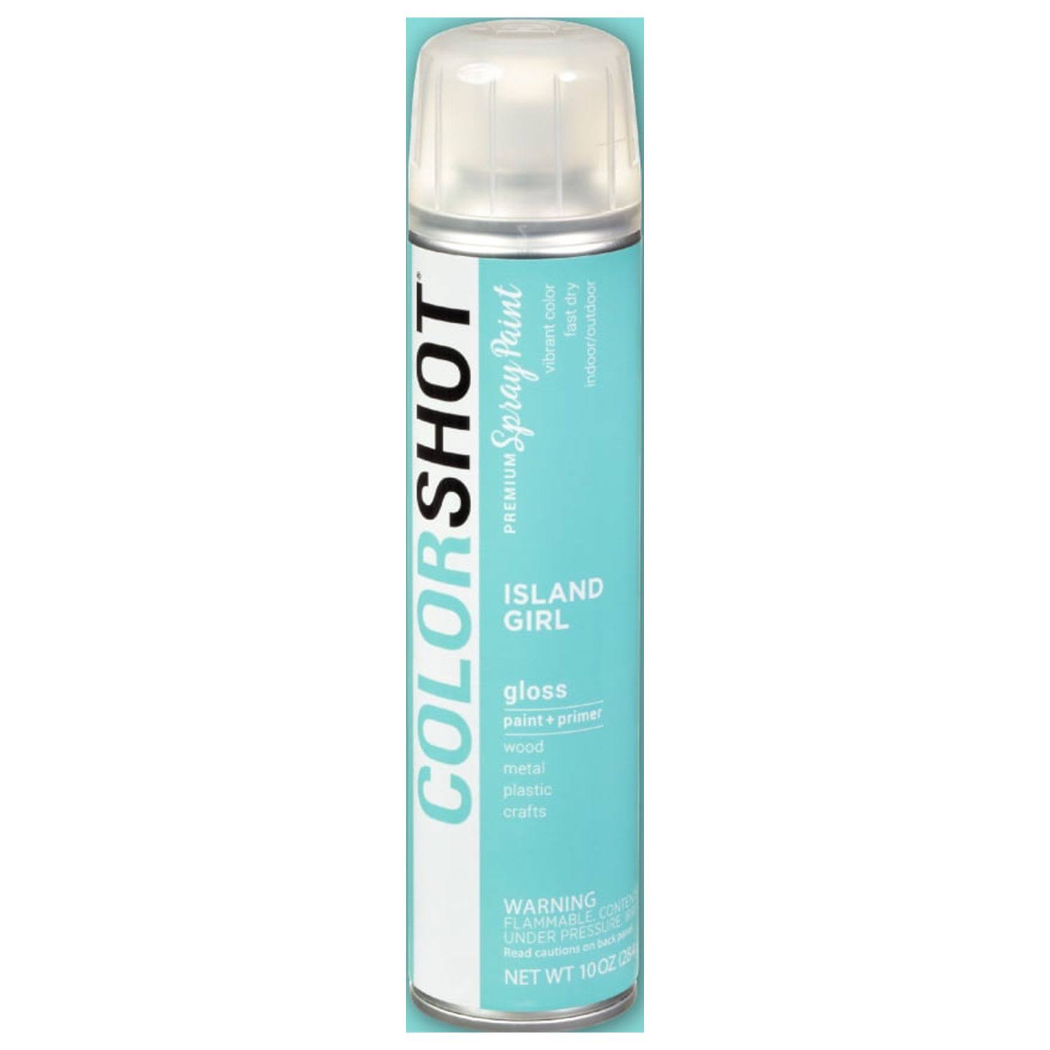 Colorshot Aerosol Spray Paint 10oz- Island Girl- Mint- Gloss