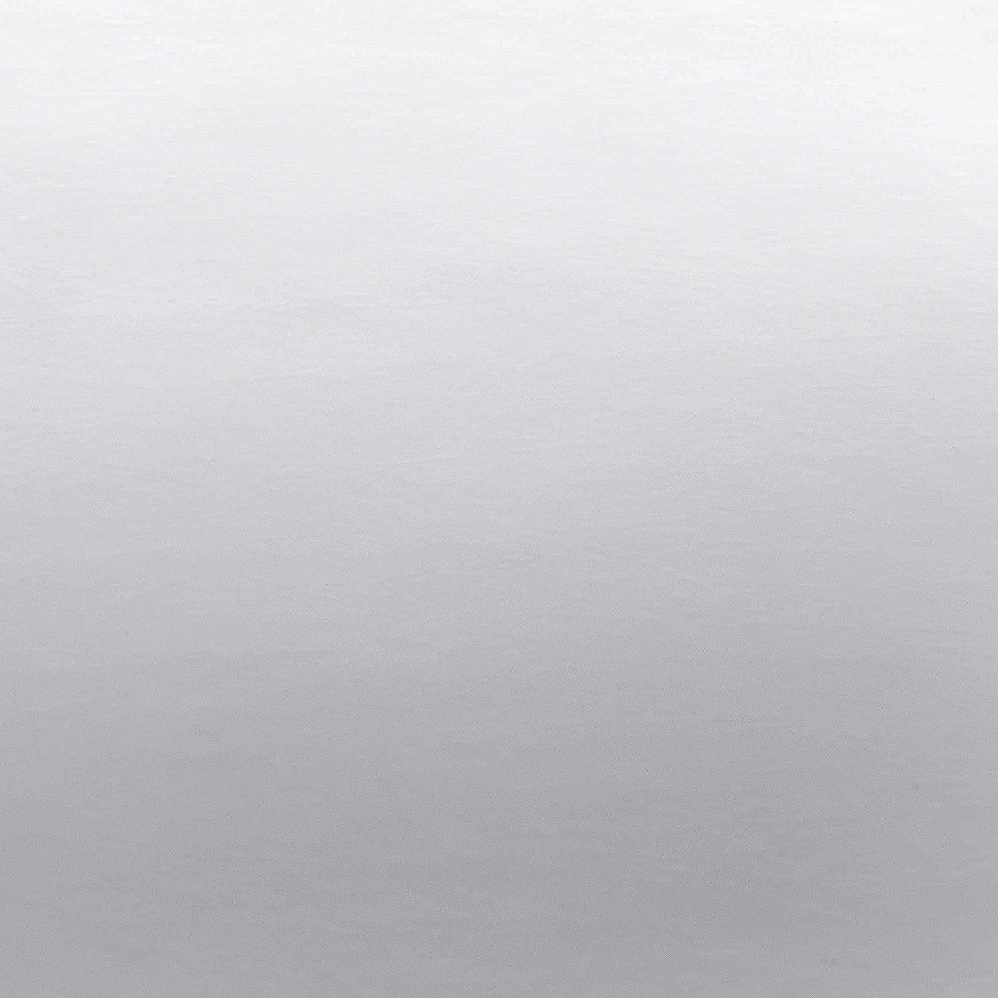 RecPro RV Fiberglass/Filon Roofing | Arctic White | 102