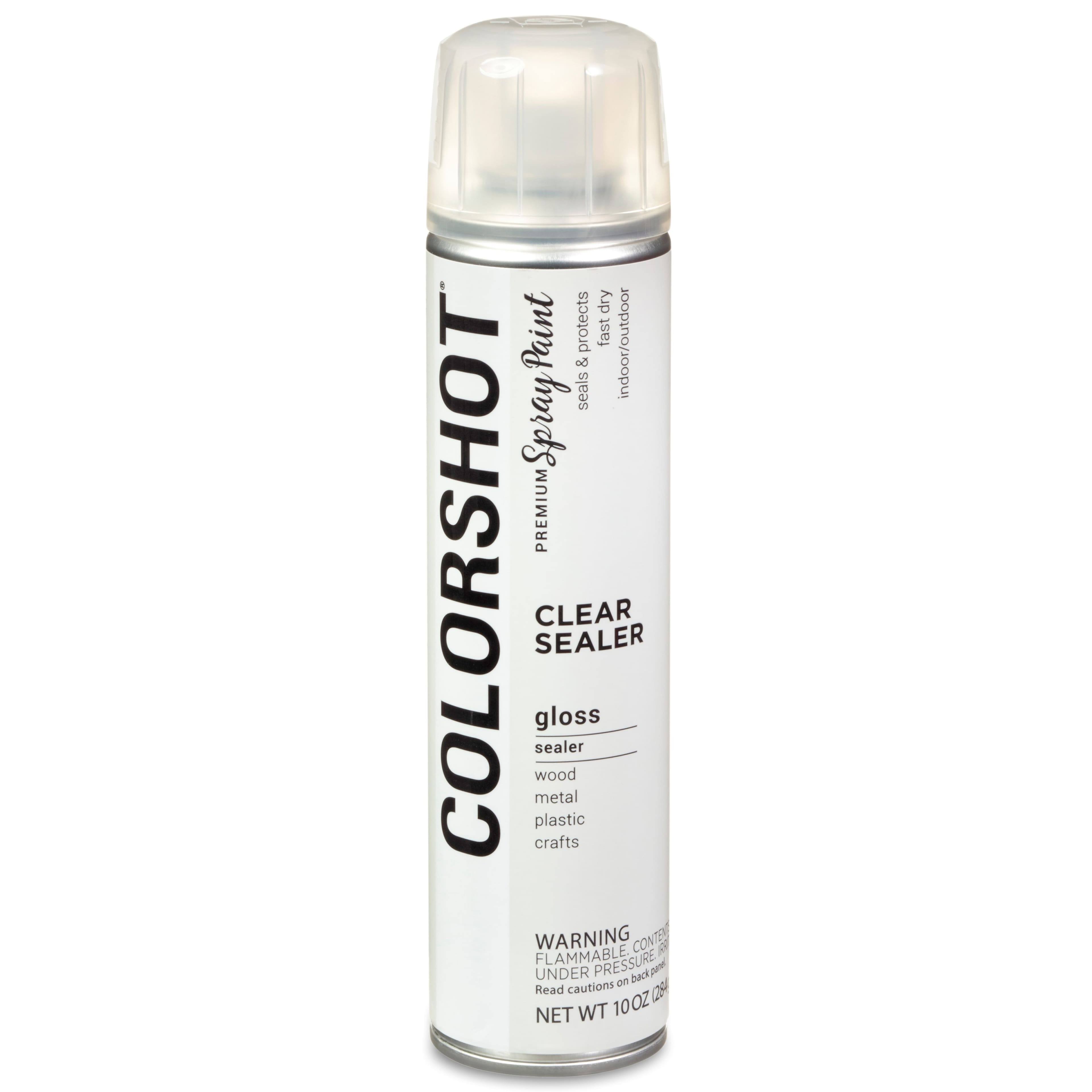 Colorshot Aerosol Spray Sealer 10oz Clear- Gloss