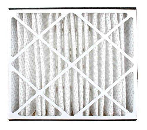 Trion Air Bear 255649-102 Replacement Filter- 20X25X5, Three per Box