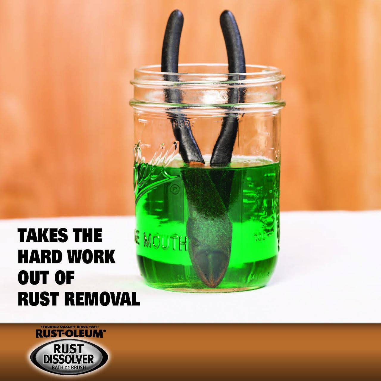 Rust-Oleum 293617 Automotive Rust Dissolver, 1 qt