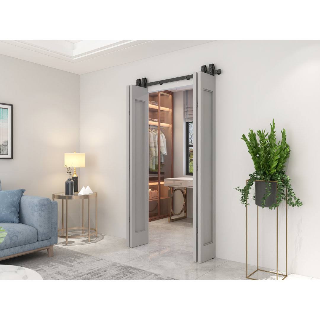 Standard Double Barn Door Hardware Kit CALHOME