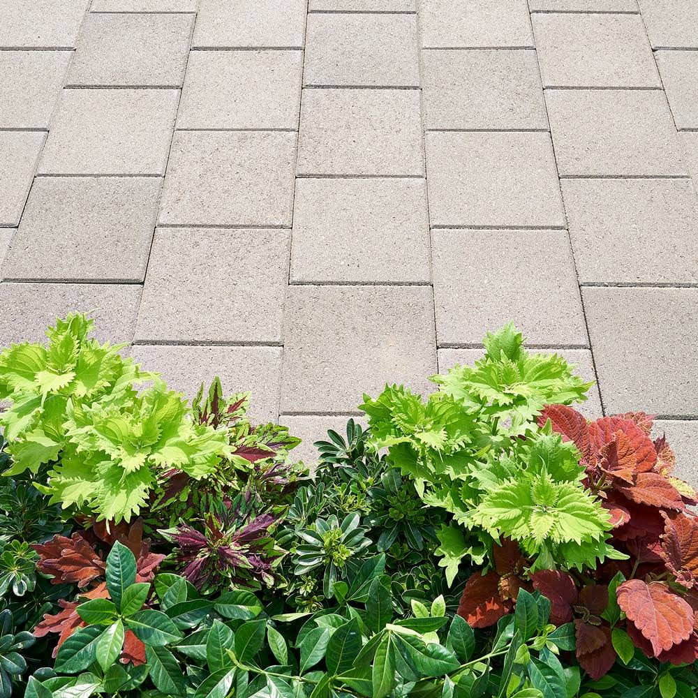 Stepping Stones Pewter Concrete Step Stone, 12