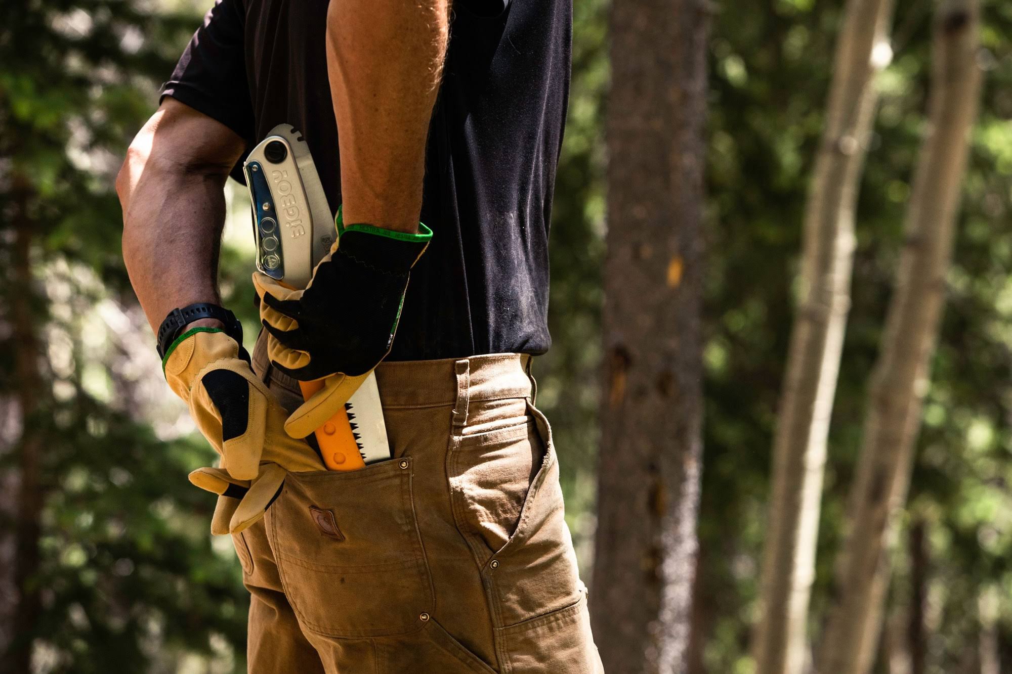 Silky Bigboy 2000 Folding Saw, Extra Large Teeth