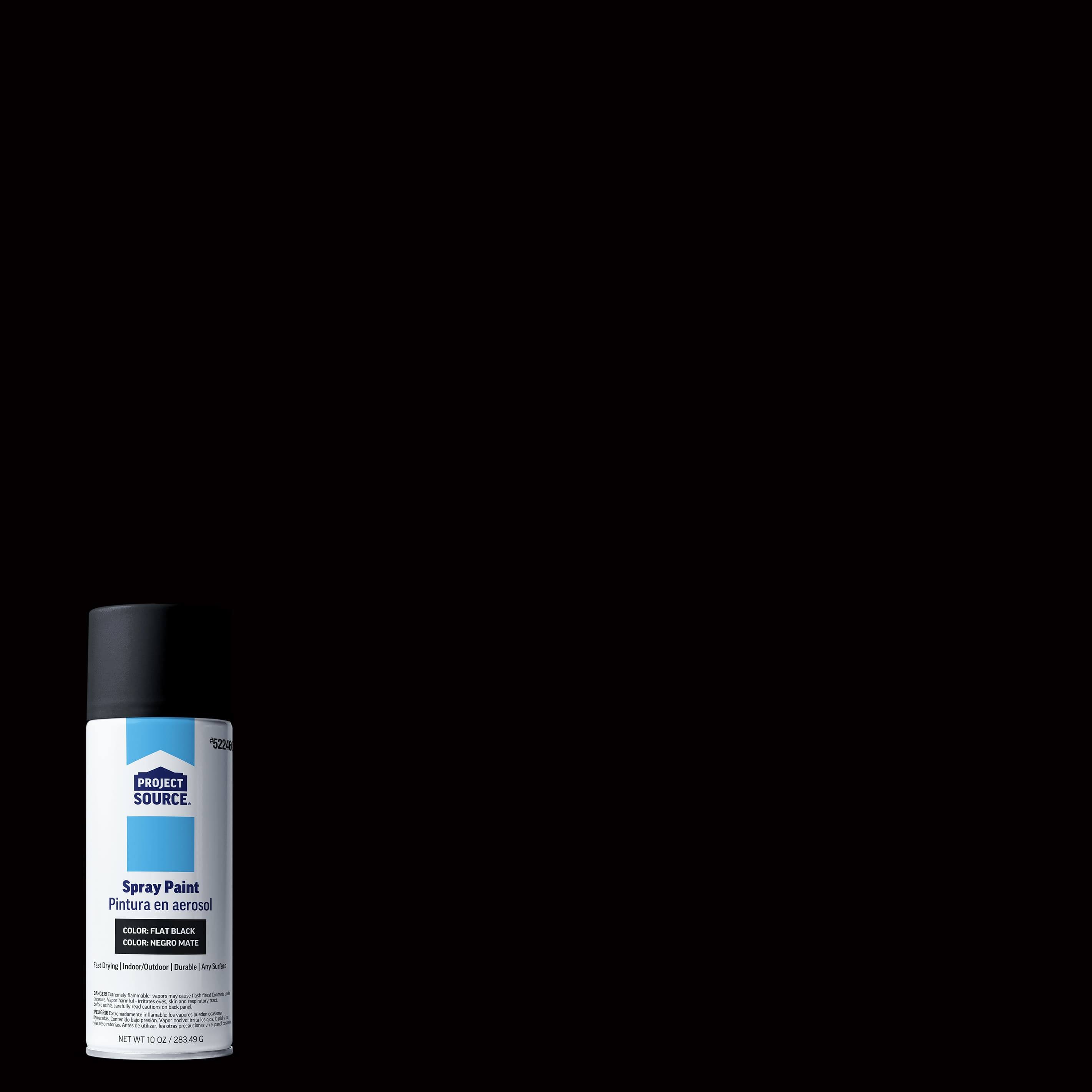 Project Source Gloss Black/Flat Spray Paint Net Wt. 10-oz | AL89705