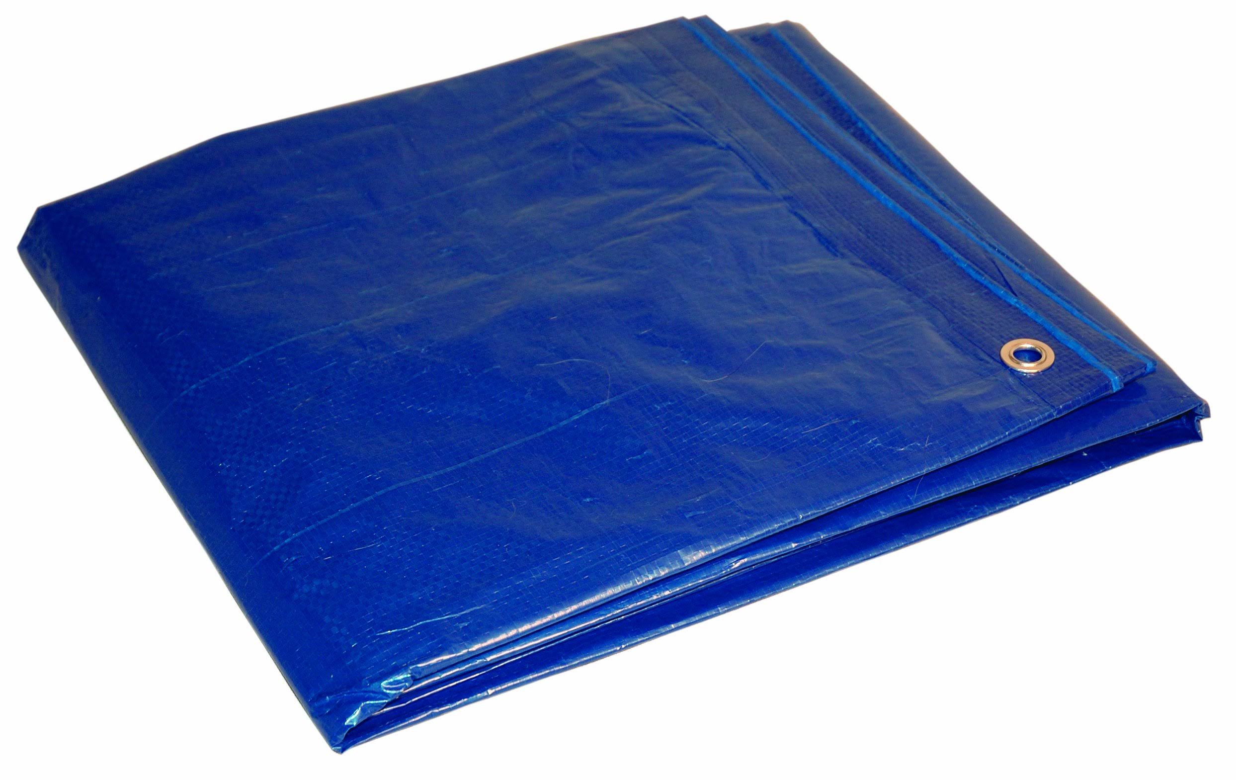 Foremost Tarp Blue 20'x30'