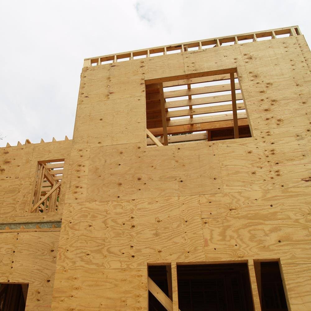 Plytanium 15/32-in x 4-ft x 8-ft Pine Plywood Sheathing 132411