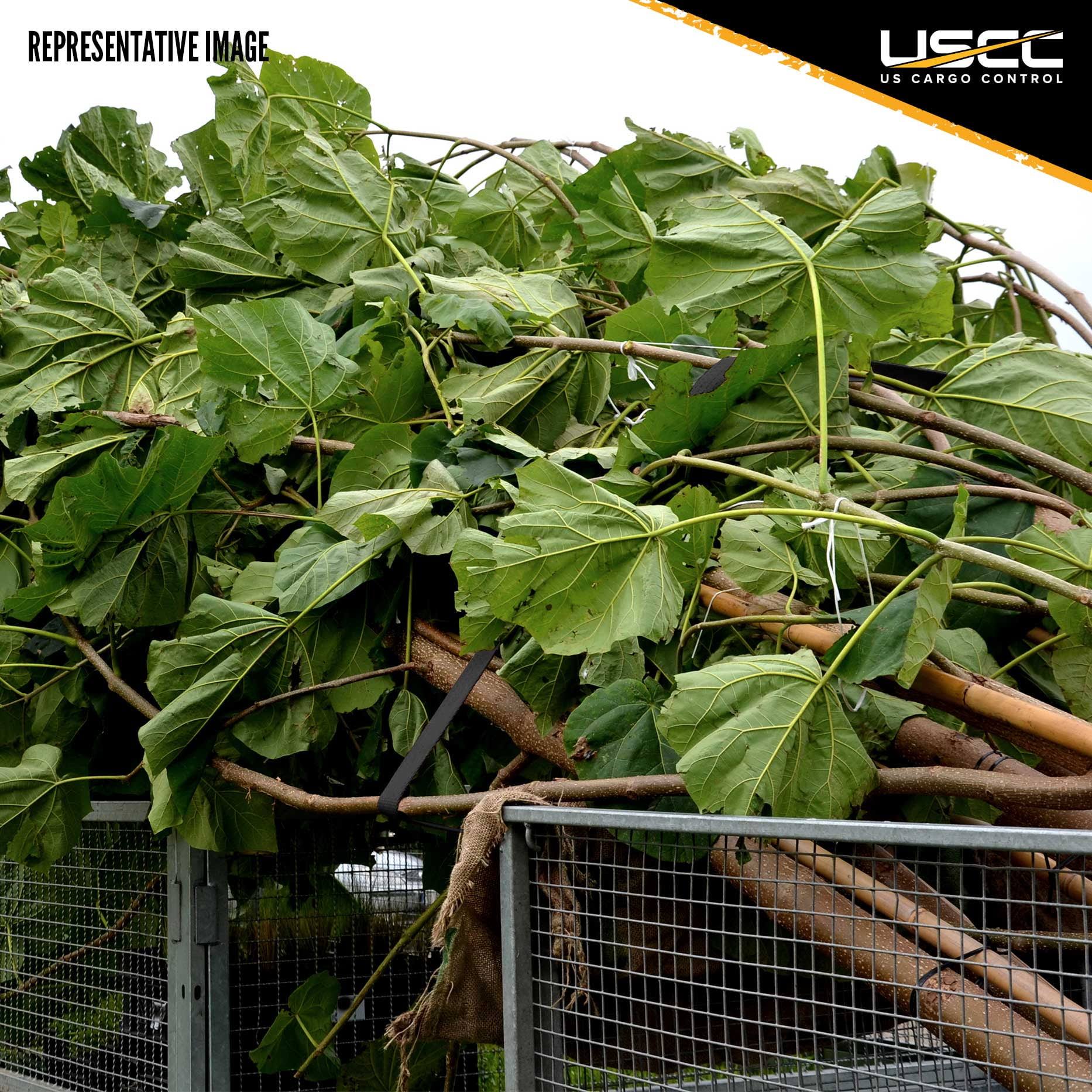 US Cargo Control 1610SHOOK35-BLK 1