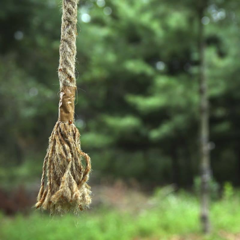 Hodag HempScent Rope System