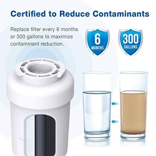 Waterspecialist Refrigerator Water Filter, Replacement for GE Mwf, Smartwater,