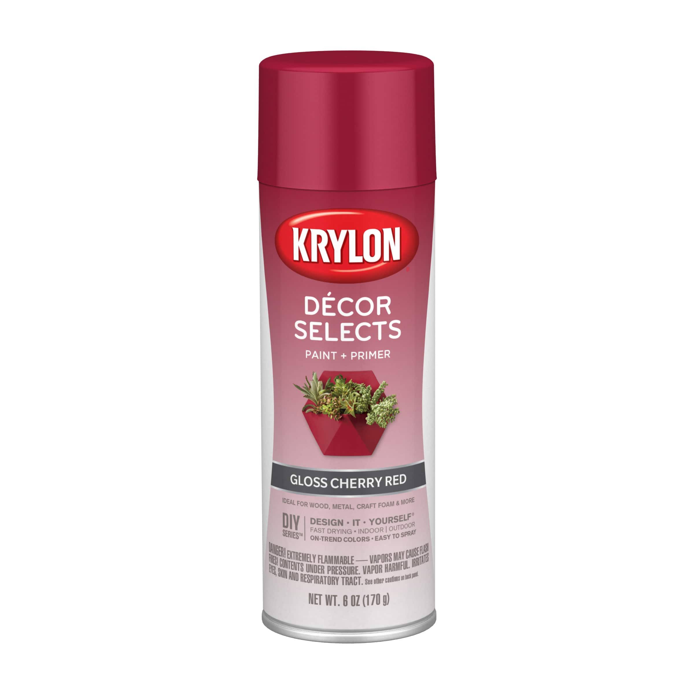 Krylon Decor SELECTS Paint & Primer- Gloss- Mambo Pink 6 oz.