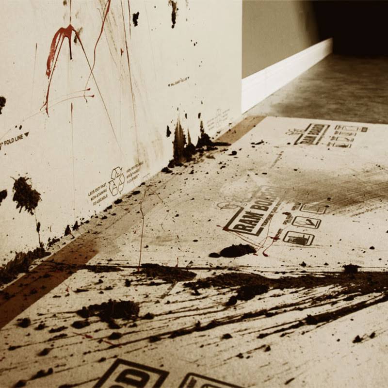 Ram Board RB38100 38-Inch x 100-Ft. Floor Protector Roll