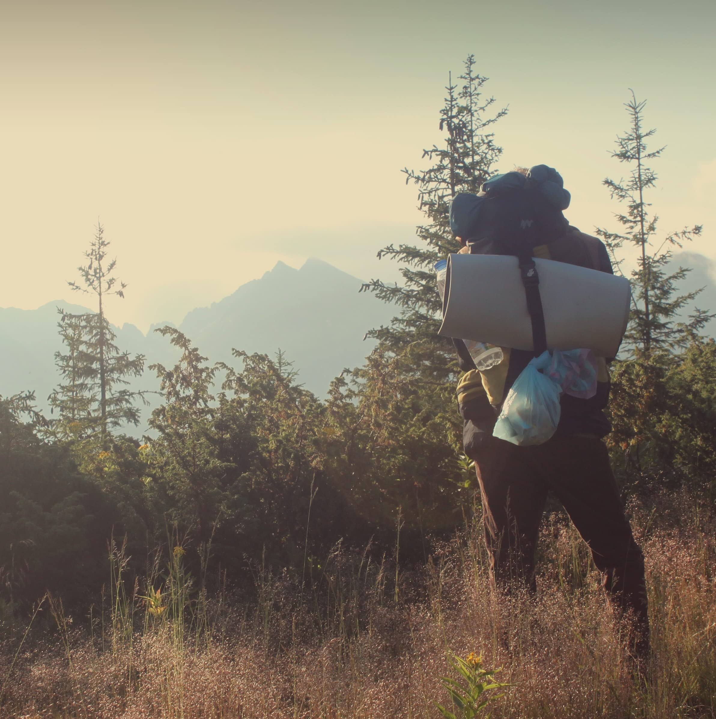 Harrier 72-Inch Utility Strap with Quick-Release Buckle Black 6-Pack