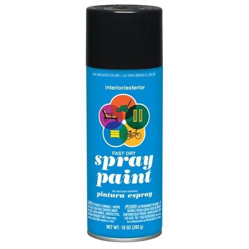 Colorplace Gloss Spray Paint, Black
