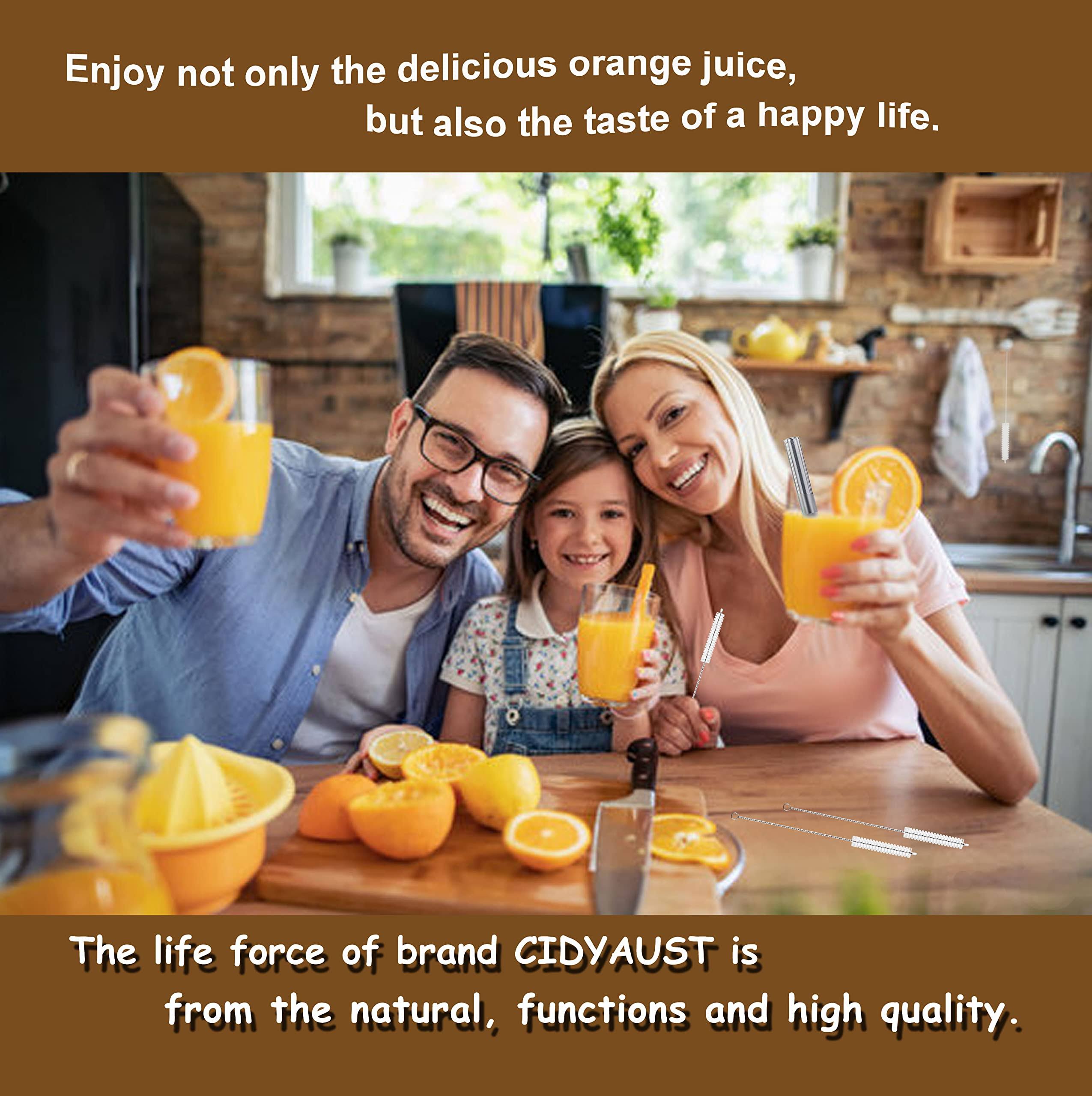 CIDYAUST Straw Cleaner Brush Extra Long 12 inch, Extra Wide 12mm Diam Straw Brushes for Cleaning Straws, Straw Cleaning Brush for Tubes, Water Bottle, Sippy