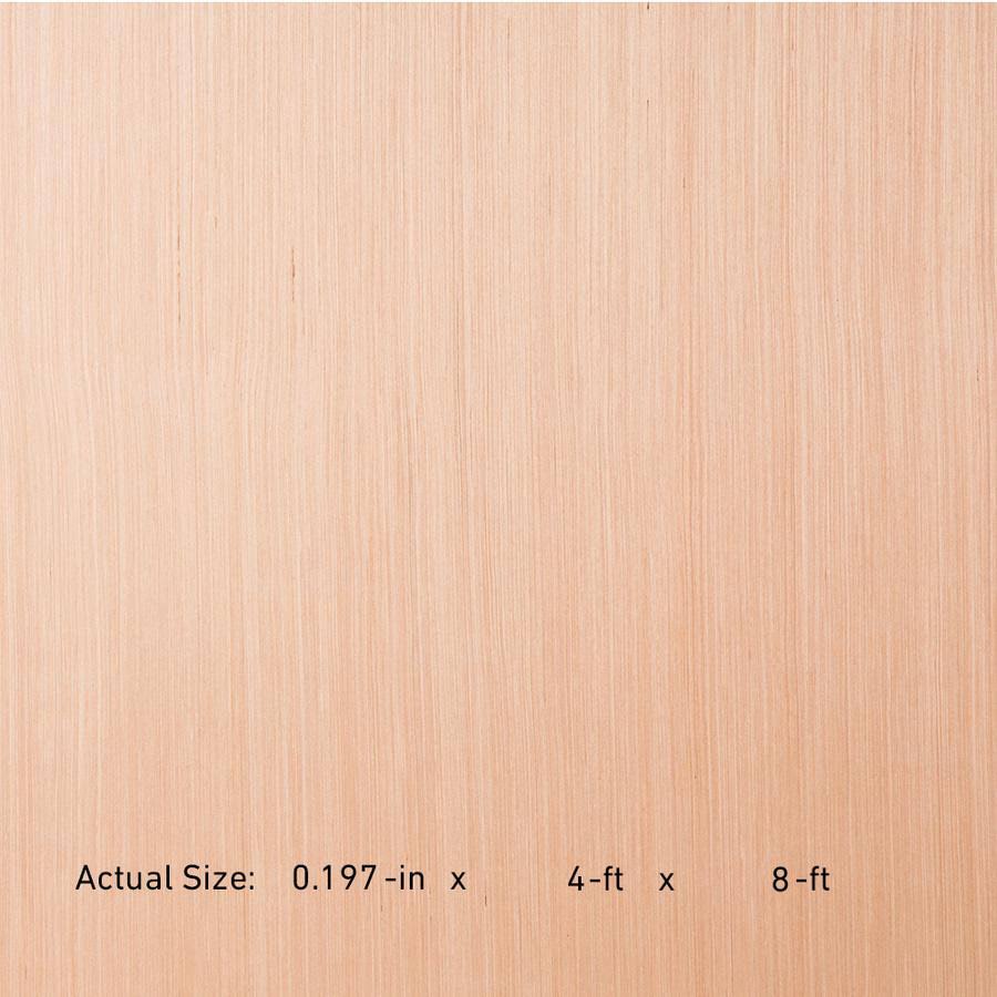 RevolutionPly 518477 5mm x 4-ft x 8-ft Poplar Sanded Plywood