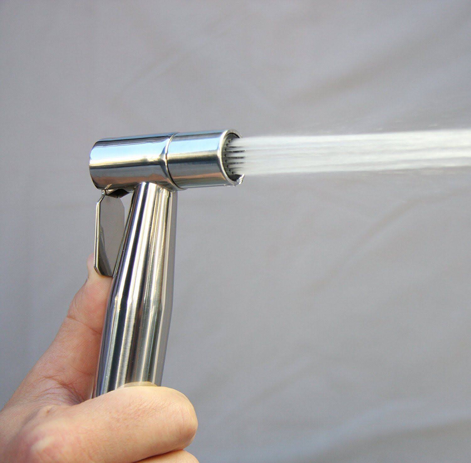 Brondell CleanSpa Luxury Hand Held Bidet