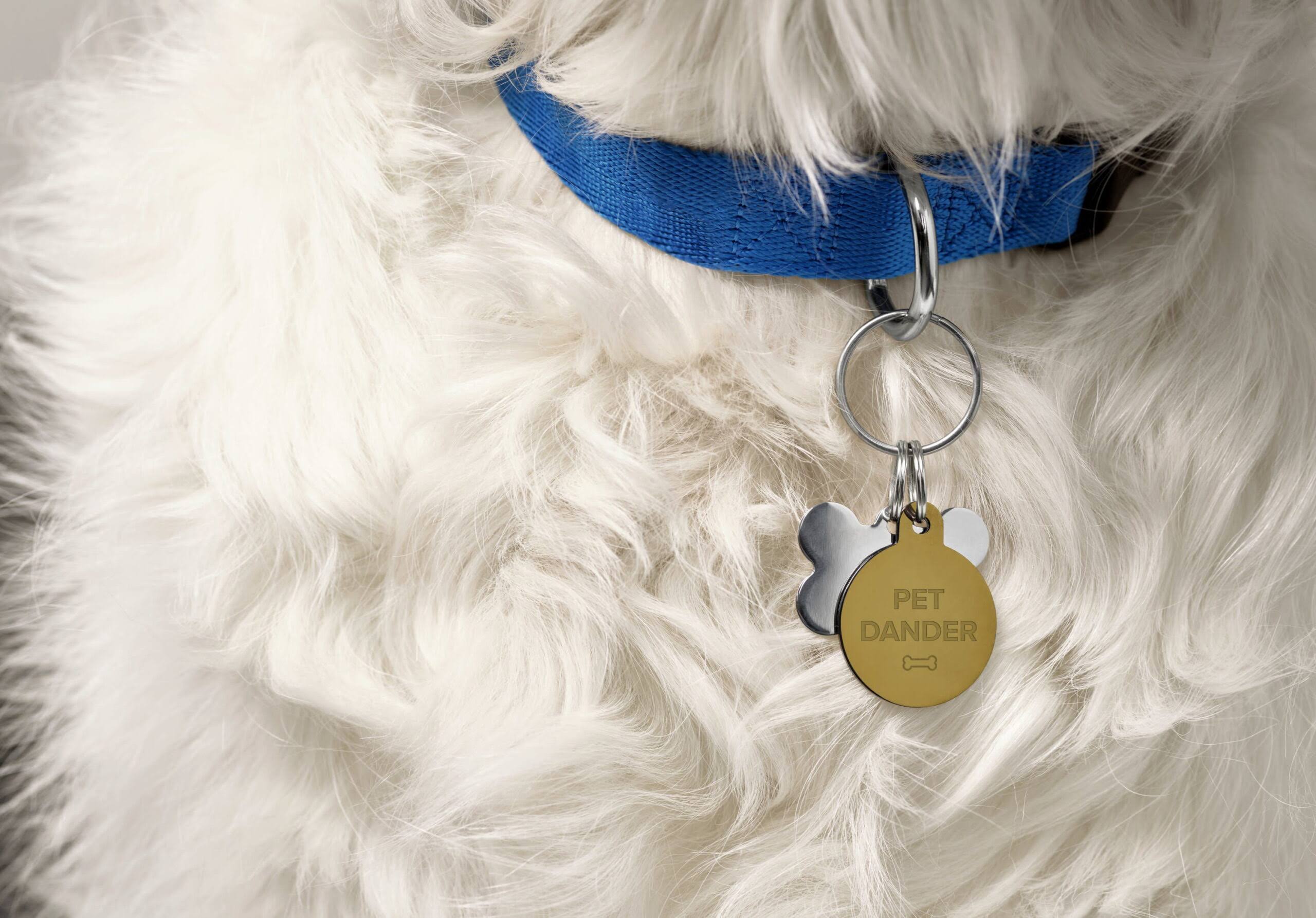 Filtrete by 3M 20x30x1, MERV 12, Advanced Allergen Reduction HVAC Furnace Air Filter, 1500 Mpr, 6 Filters