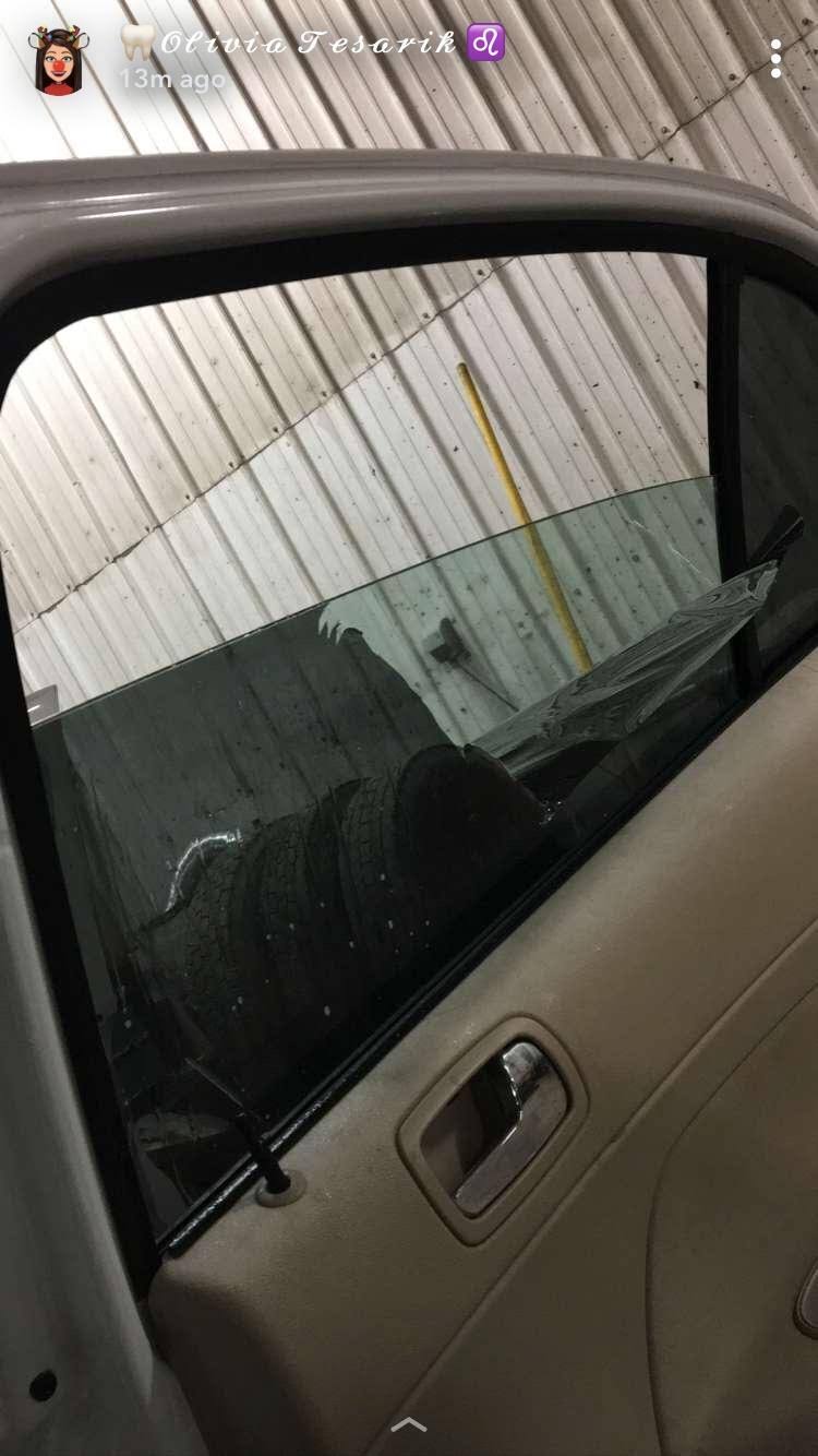 Gila FR200 Window Film Removal Tool Kit- 8 fl oz