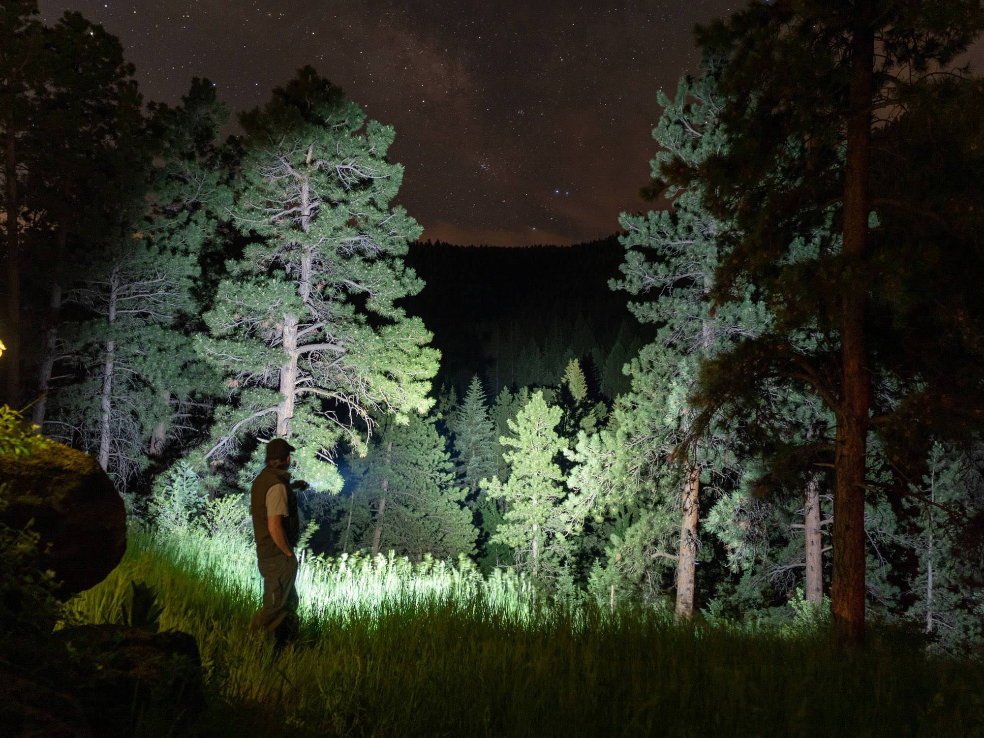 Fenix PD36R Rechargeable Flashlight Black