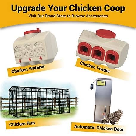Small Chicken Coop Ventilation Door