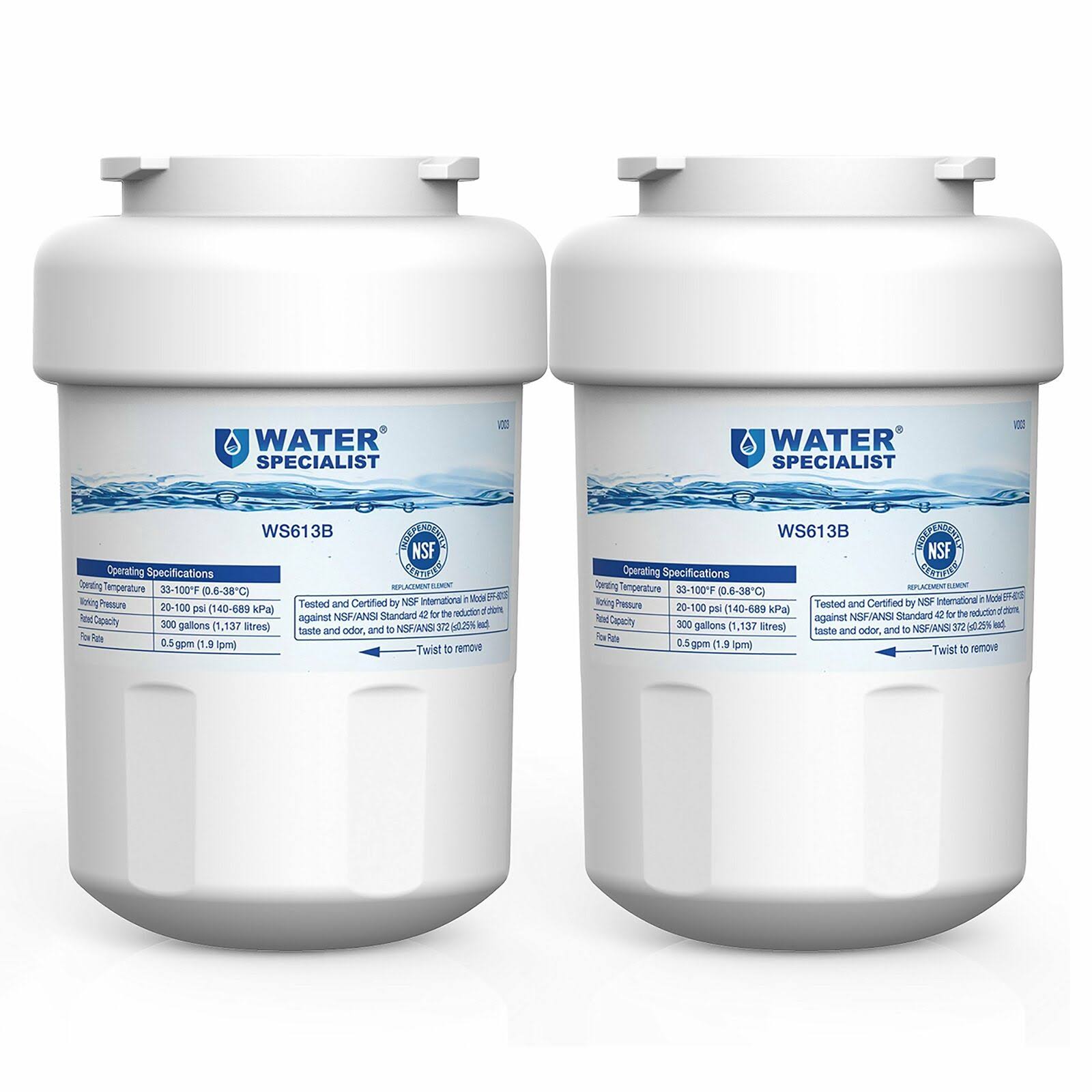 Waterspecialist MWF Refrigerator Water Filter, Replacement for GE Smartwater Mwfp , Mwfa, Gwf, HDX Fmg-1, Wfc1201, Gse25gshecss,