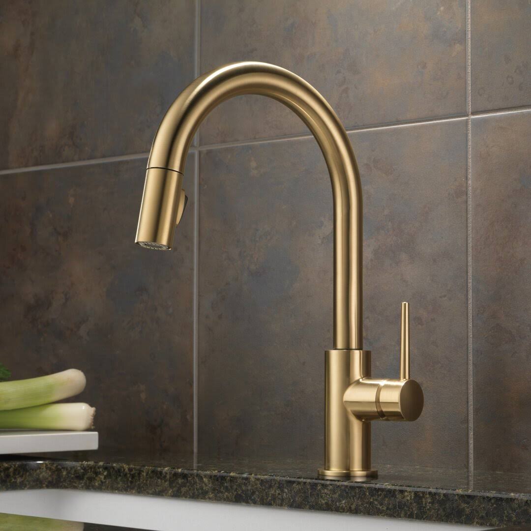Delta 9159-CZ-DST Trinsic Single Handle Pull-Down Kitchen Faucet- Champagne Bronze