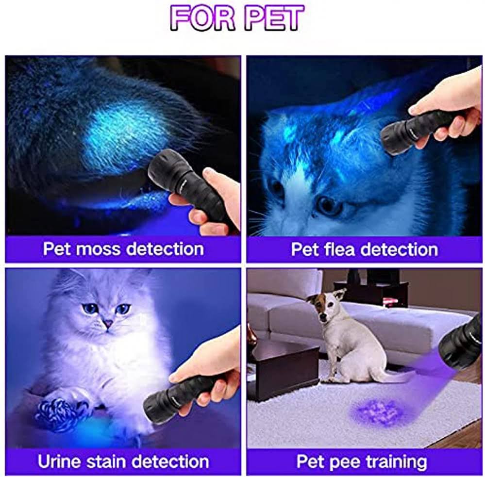 Black Light UV Flashlight,Mini 395nm 21 LED Blacklight Detector for Cat/Dog Urin