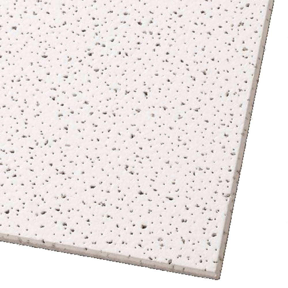 Armstrong Ceilings 12-in x 12-in 741