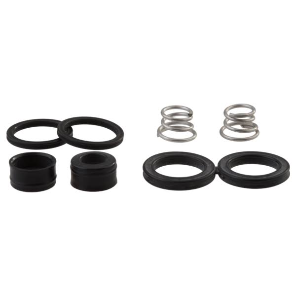 Delta RP28603 Seats, Springs & Quad Rings (2)