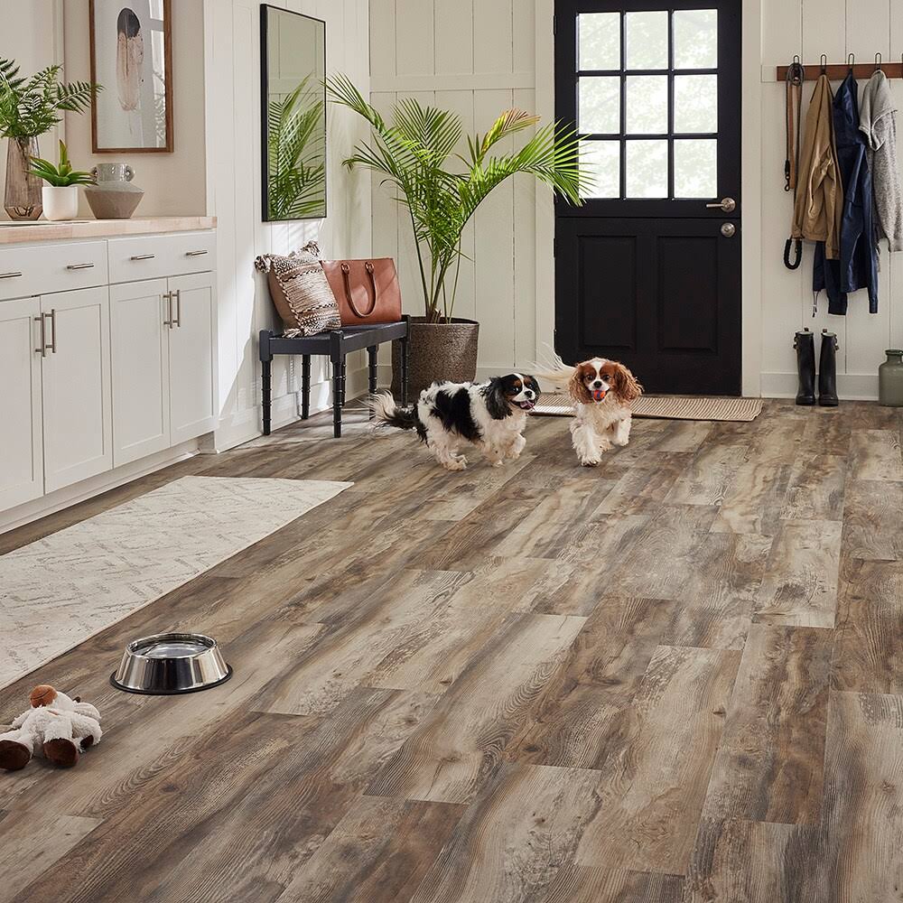 STAINMASTER PetProtect Forest City Pine Waterproof Wood Plank Laminate Flooring | SM100- 0.472 x 7.50 x 47.25 in