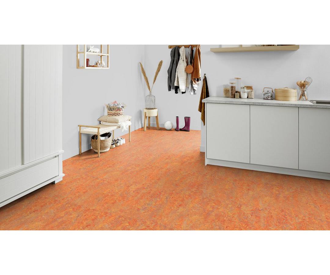 Forbo Cinch LOC Seal Asian Tiger 9.8 mm T x 11.81 in. W x 35.43 in. L Laminate Flooring (20.34 Sq. ft./Case)