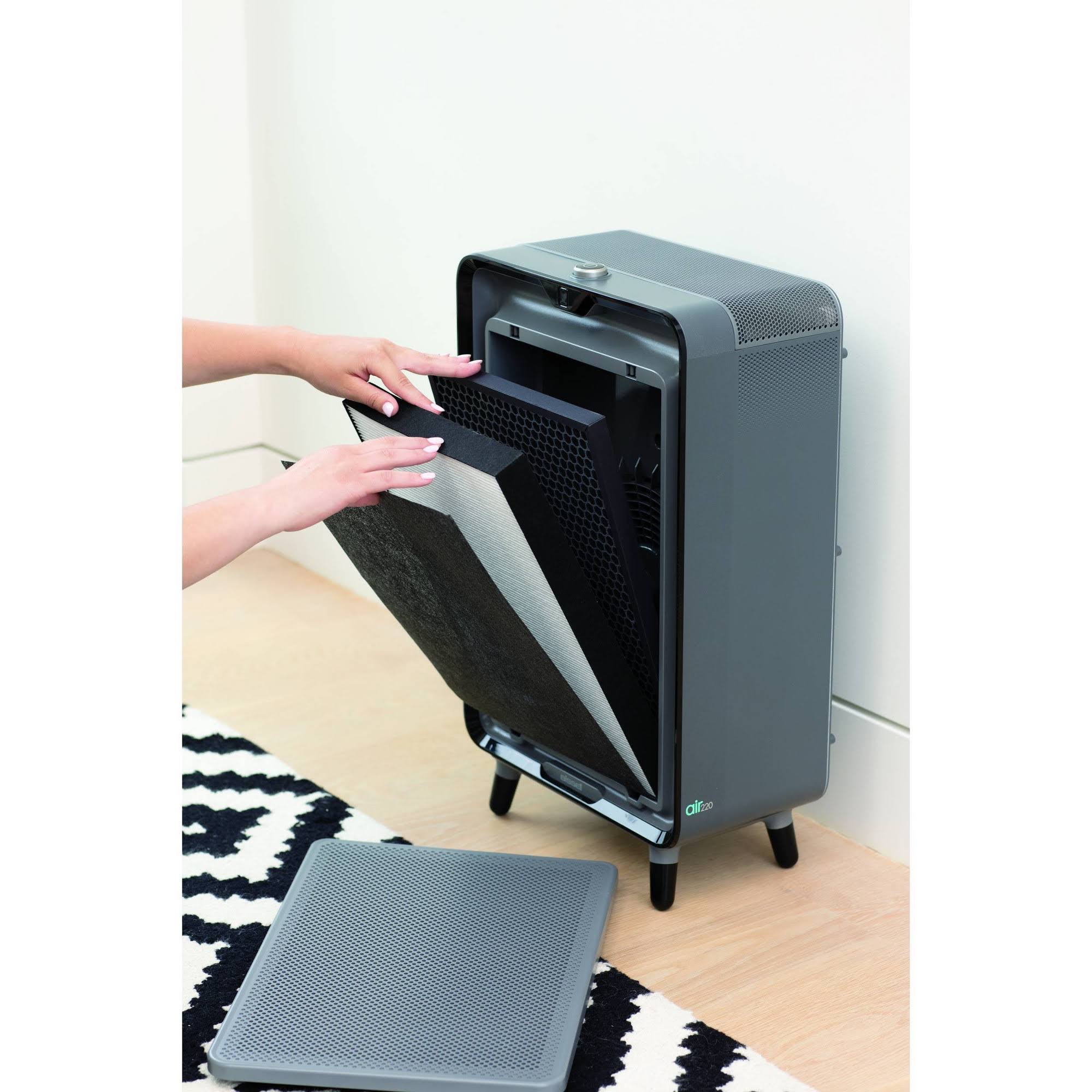 Bissell Air220 Air Purifier Replacement HEPA + Pre-Filter and Activated Carbon Filter Pack, 3315 , Black