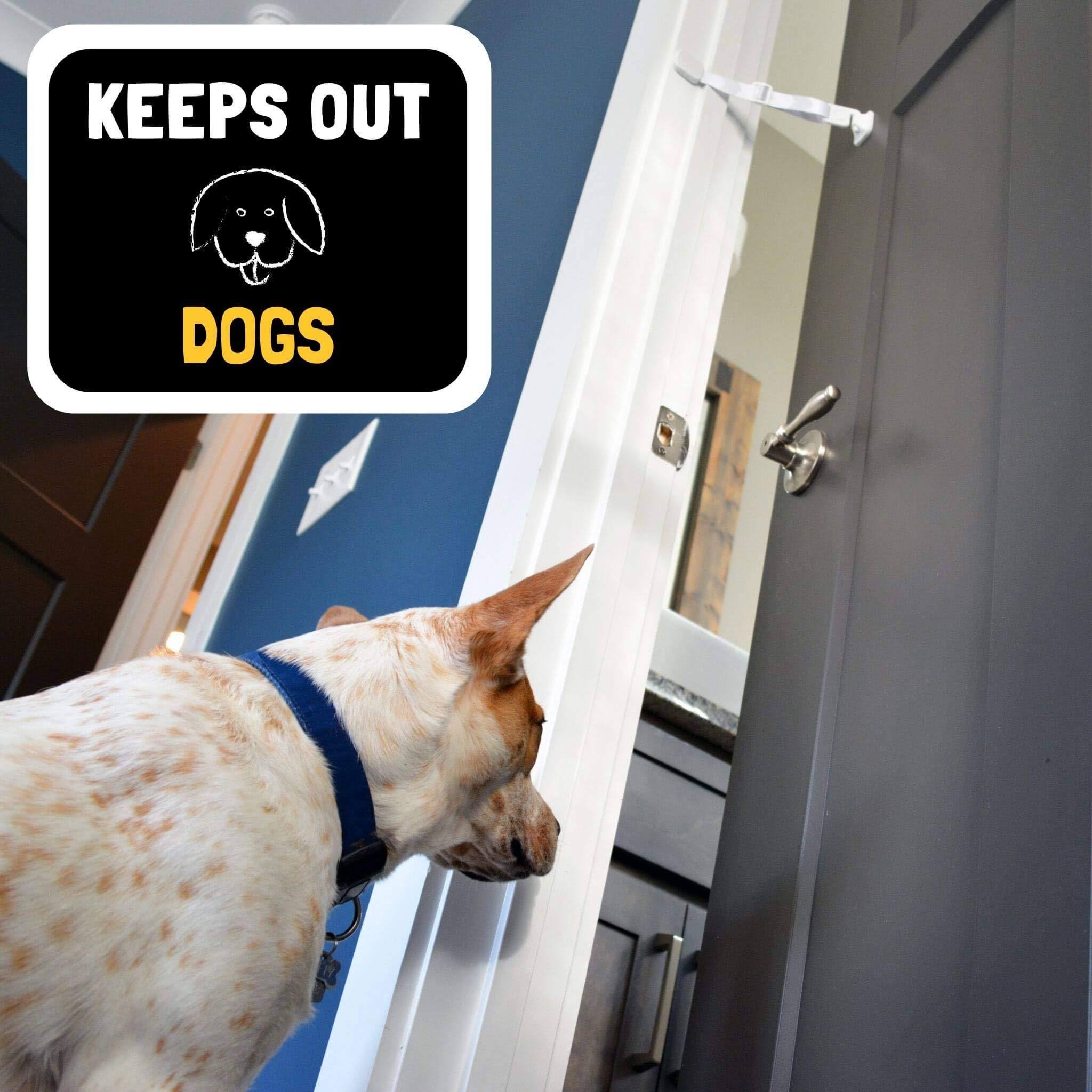 Door Buddy Door Latch Plus Door Stopper. Dog Proof Cat Litter Box and