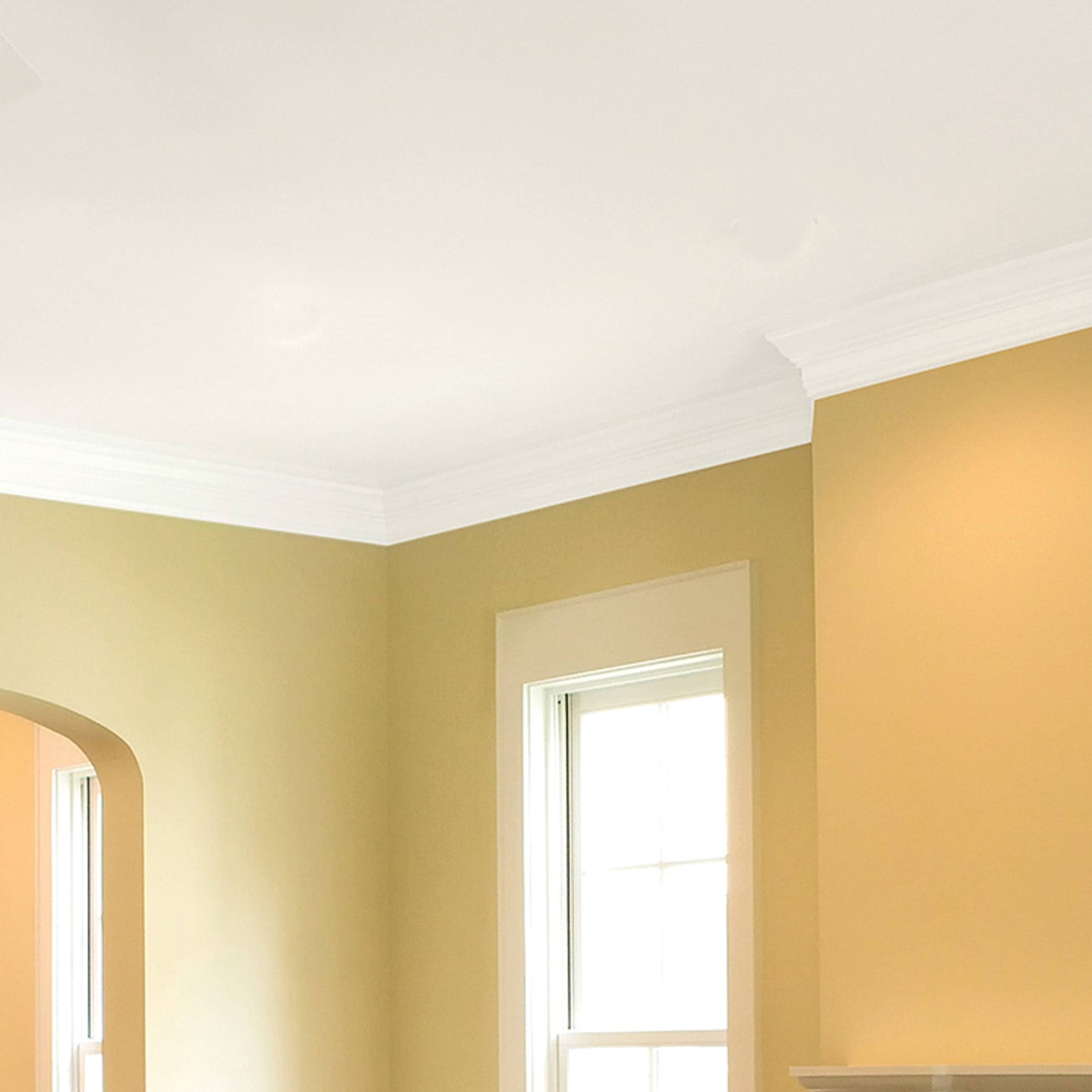 Zinsser Bright White Ceiling Paint and Primer in One 13 oz.