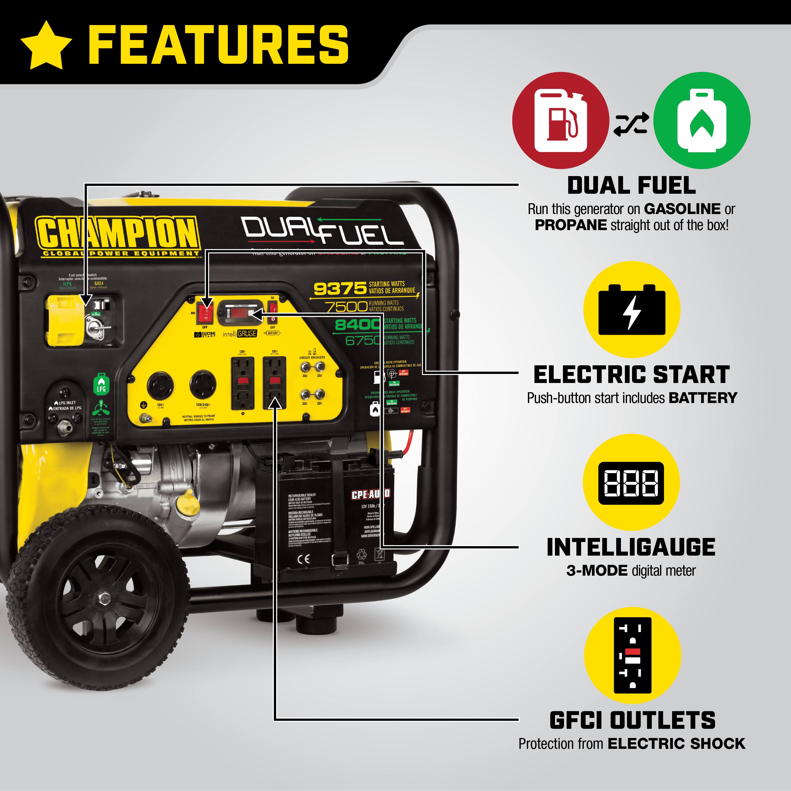 Champion Power Equipment /7500-Watt Dual Fuel Portable Generator, Electric Start