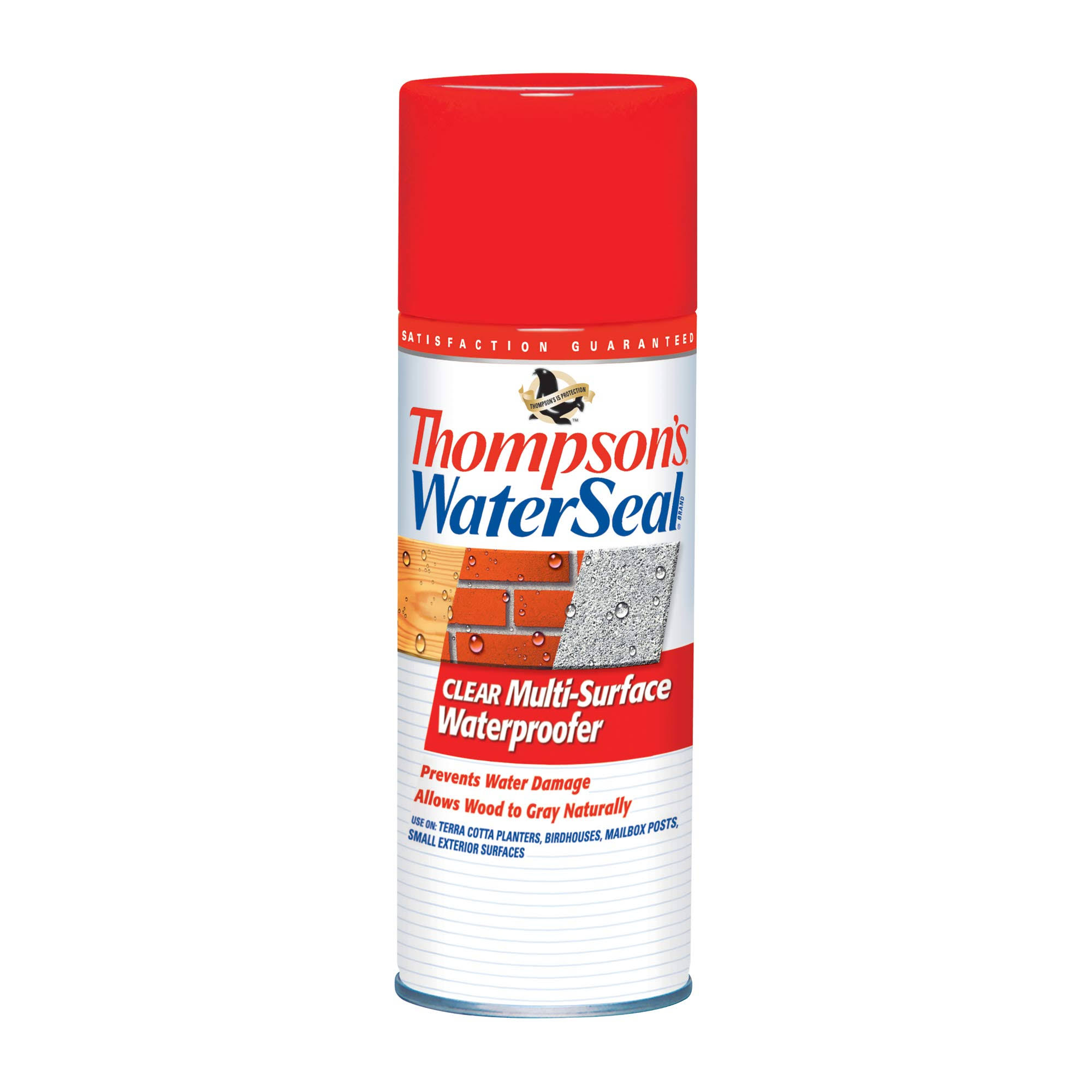 Thompson's WaterSeal Clear Multi-Surface Waterproofer- 12 oz spray bottle