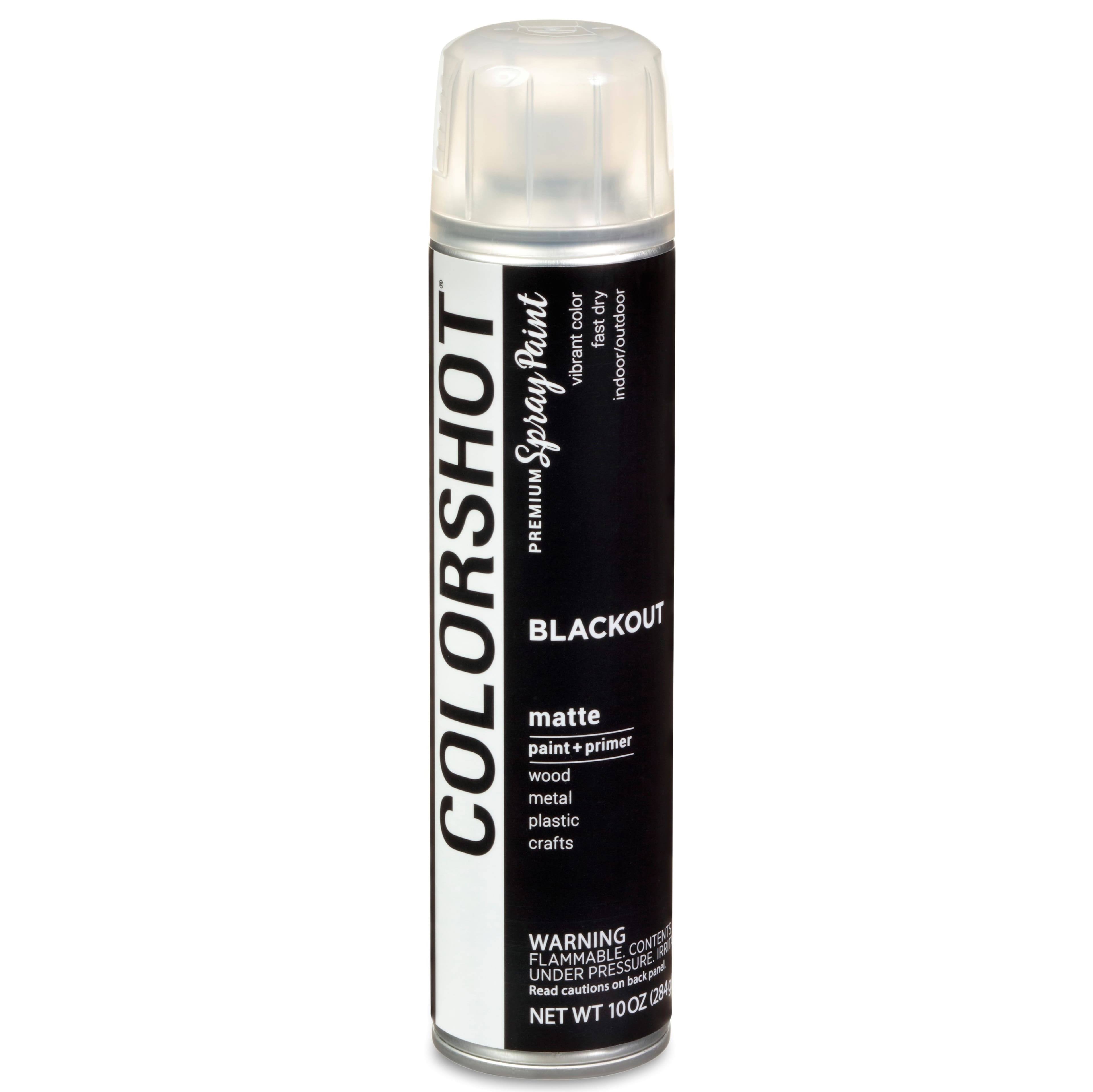 Colorshot Matte Blackout Aerosol Spray Paint- Black- 10 oz