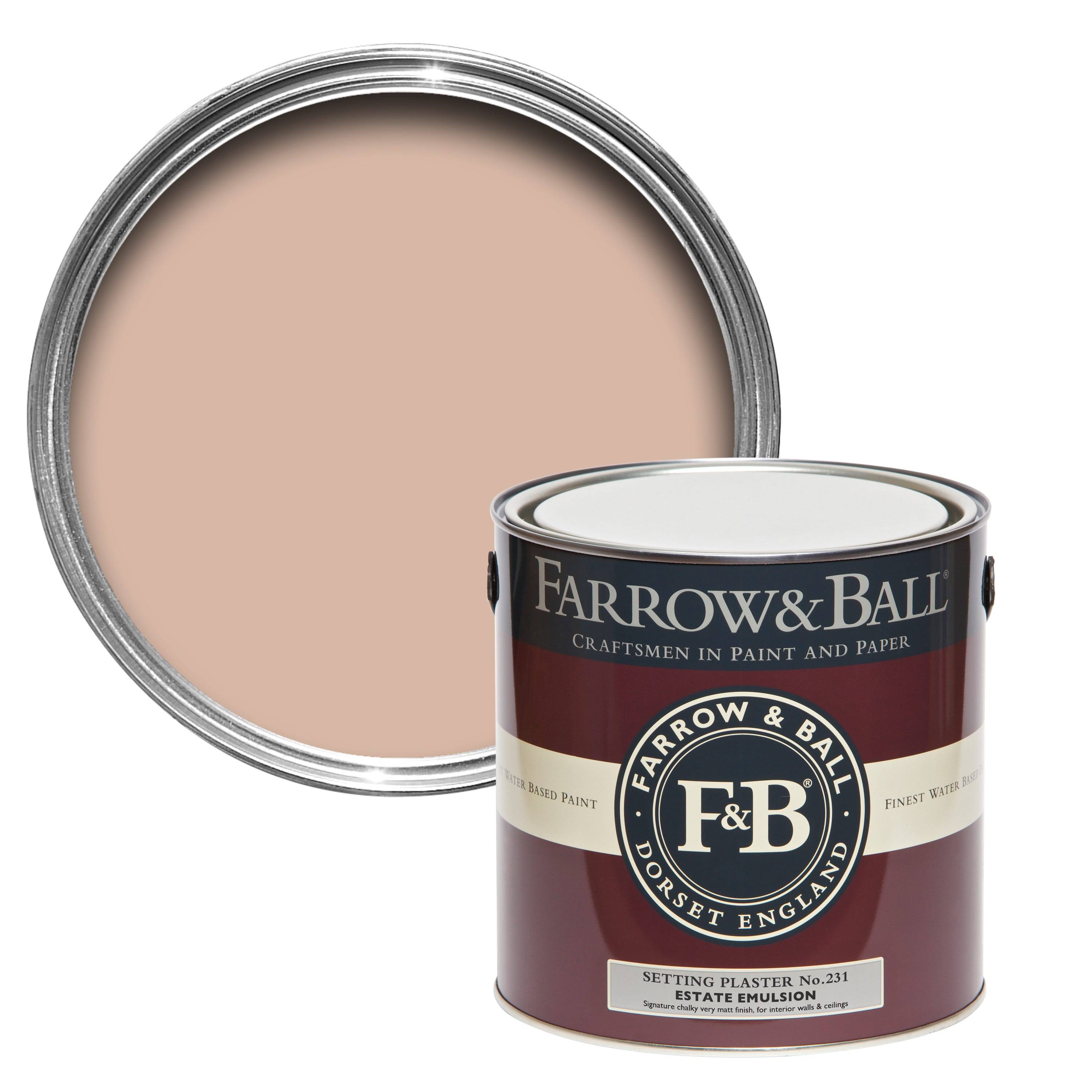 Farrow & Ball Setting Plaster Paint US Gallon Modern Emulsion No. 231