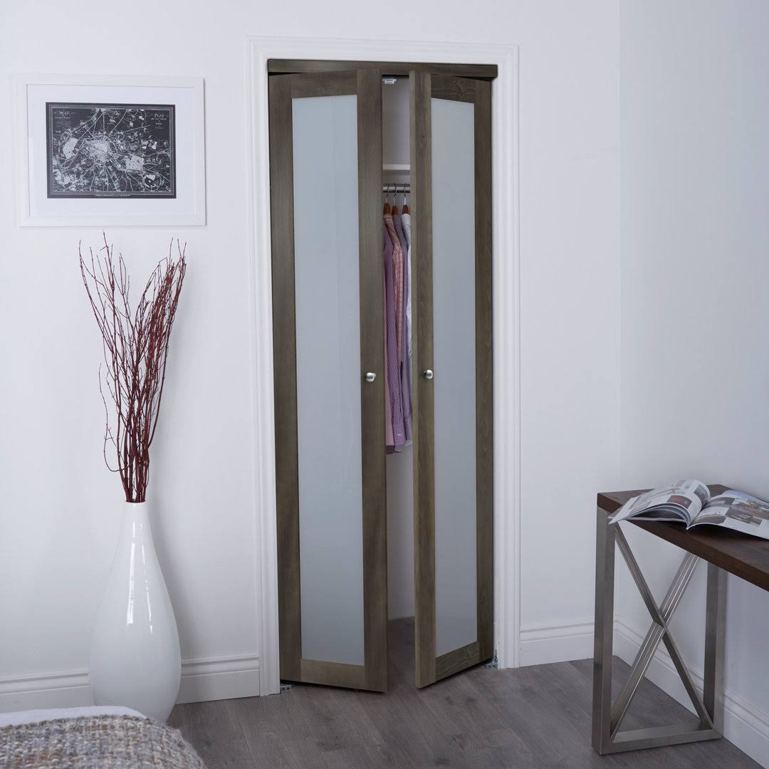 Euro 1-Lite Design Pivot Door Renin Finish: Iron Age, Size: 24
