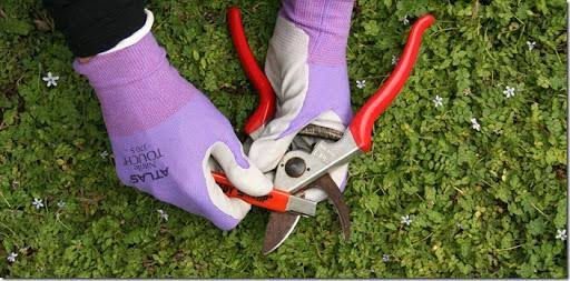 Speedy Sharp Knife Sharpener