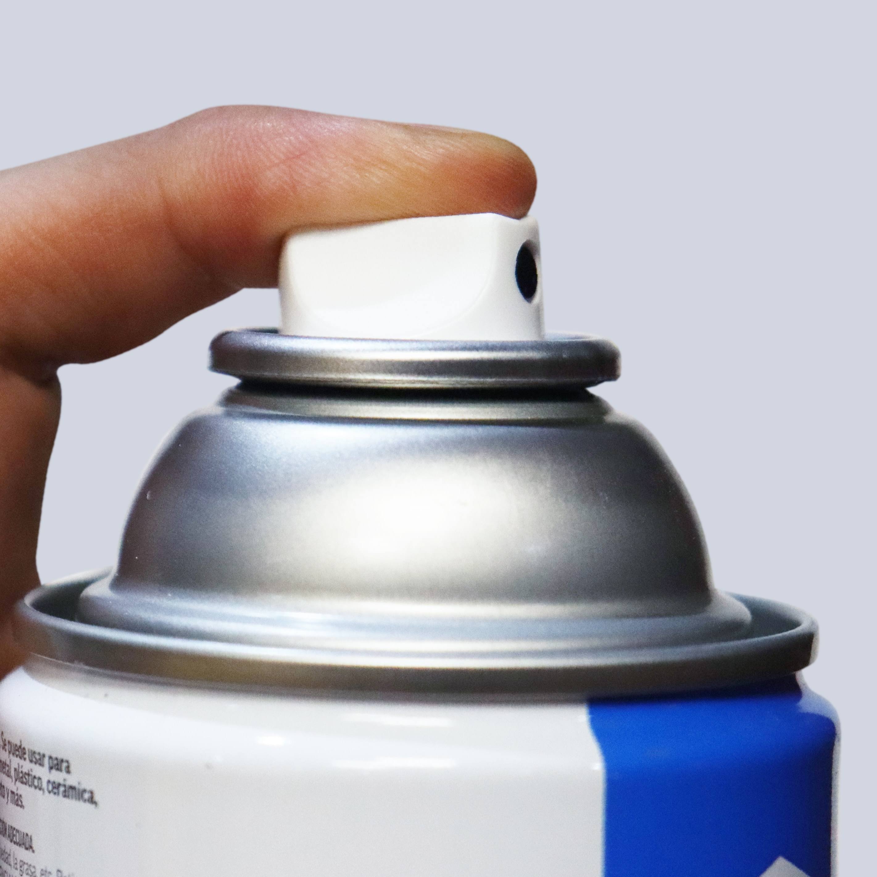 Project Source Gloss Black/Flat Spray Paint Net Wt. 10-oz | AL89705