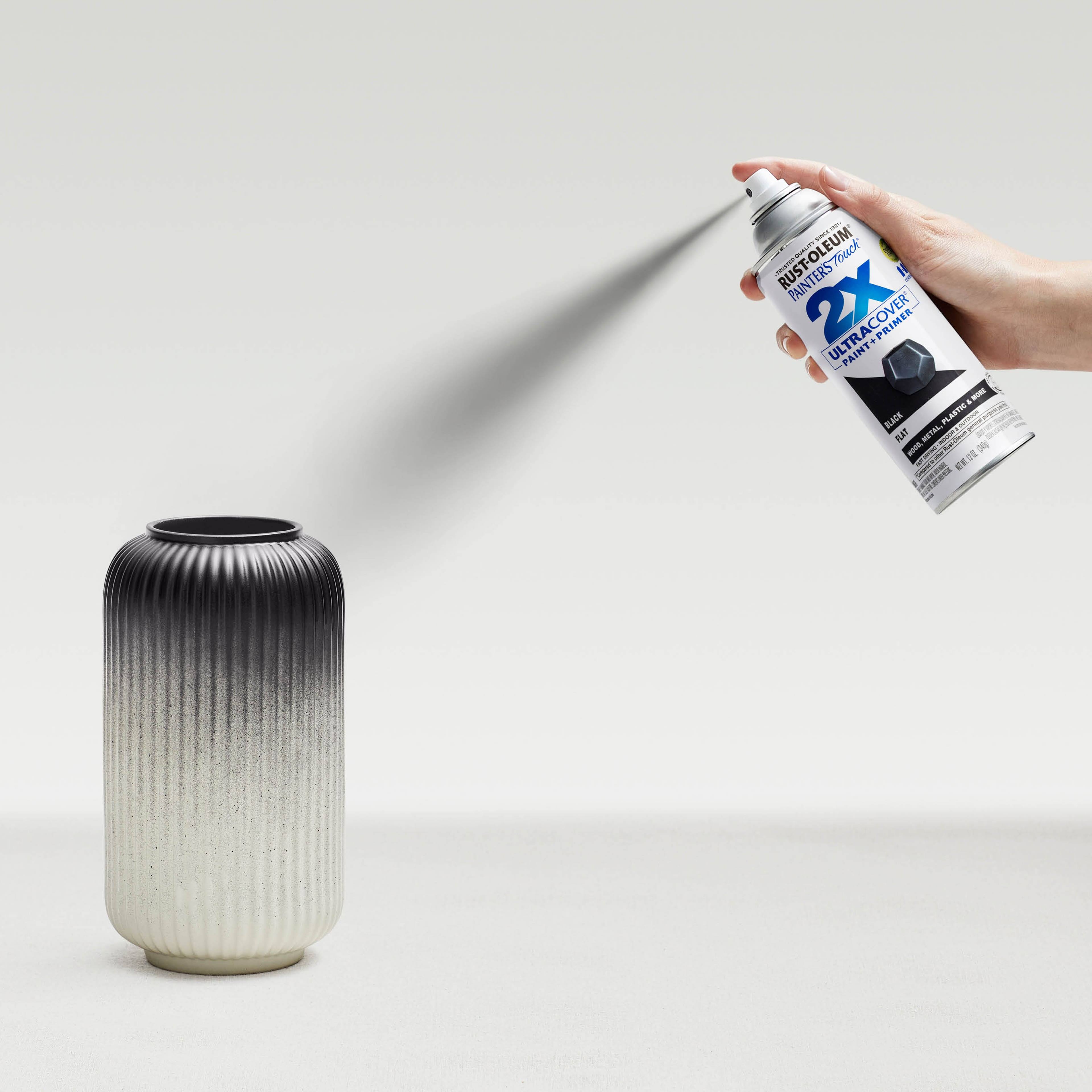 Rust-Oleum 12oz 2x Painter's Touch Ultra Cover Flat Spray Paint Black