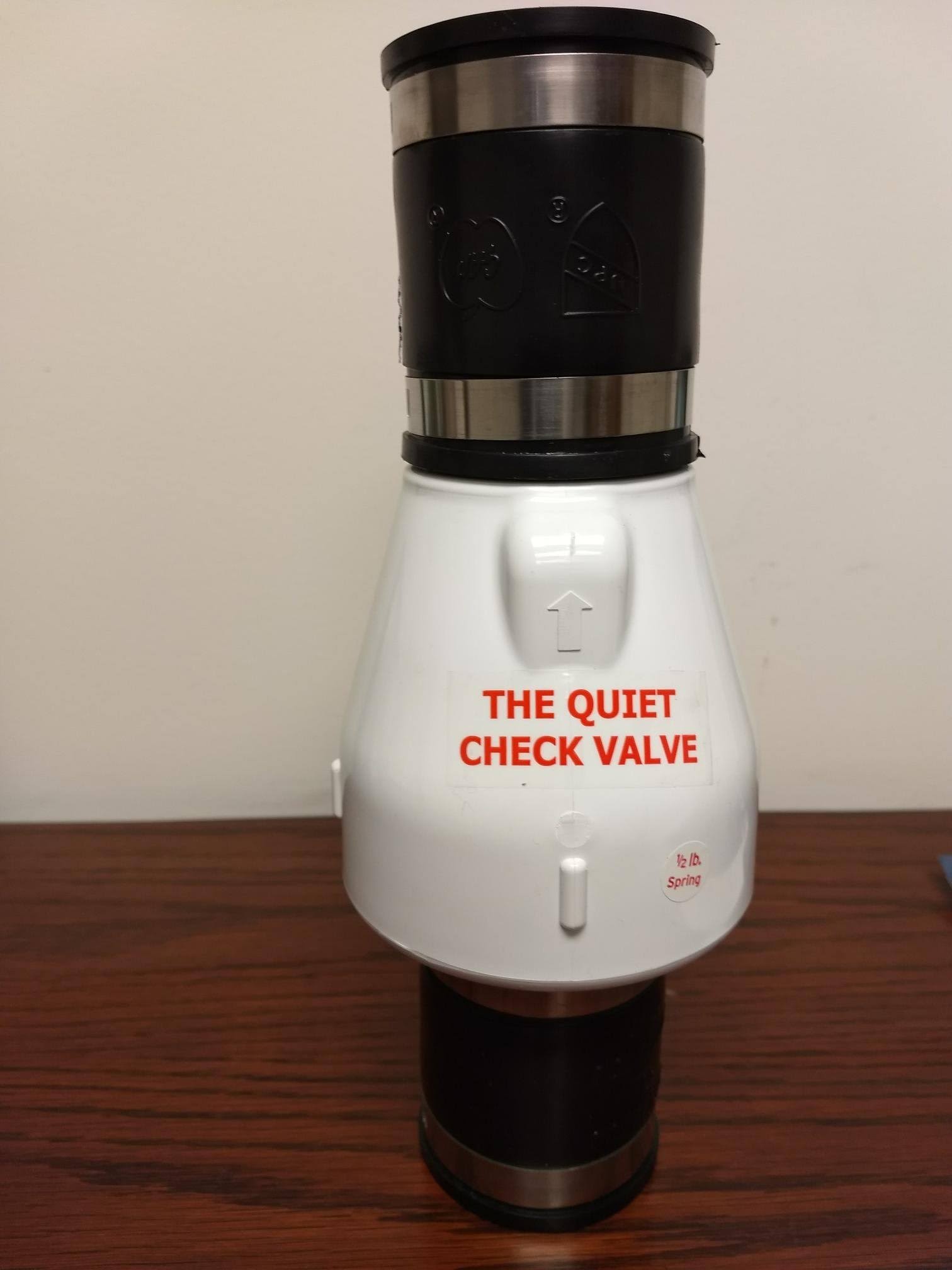 Zoeller 30-0243 2 in. PVC Swing Union Check Valve, White