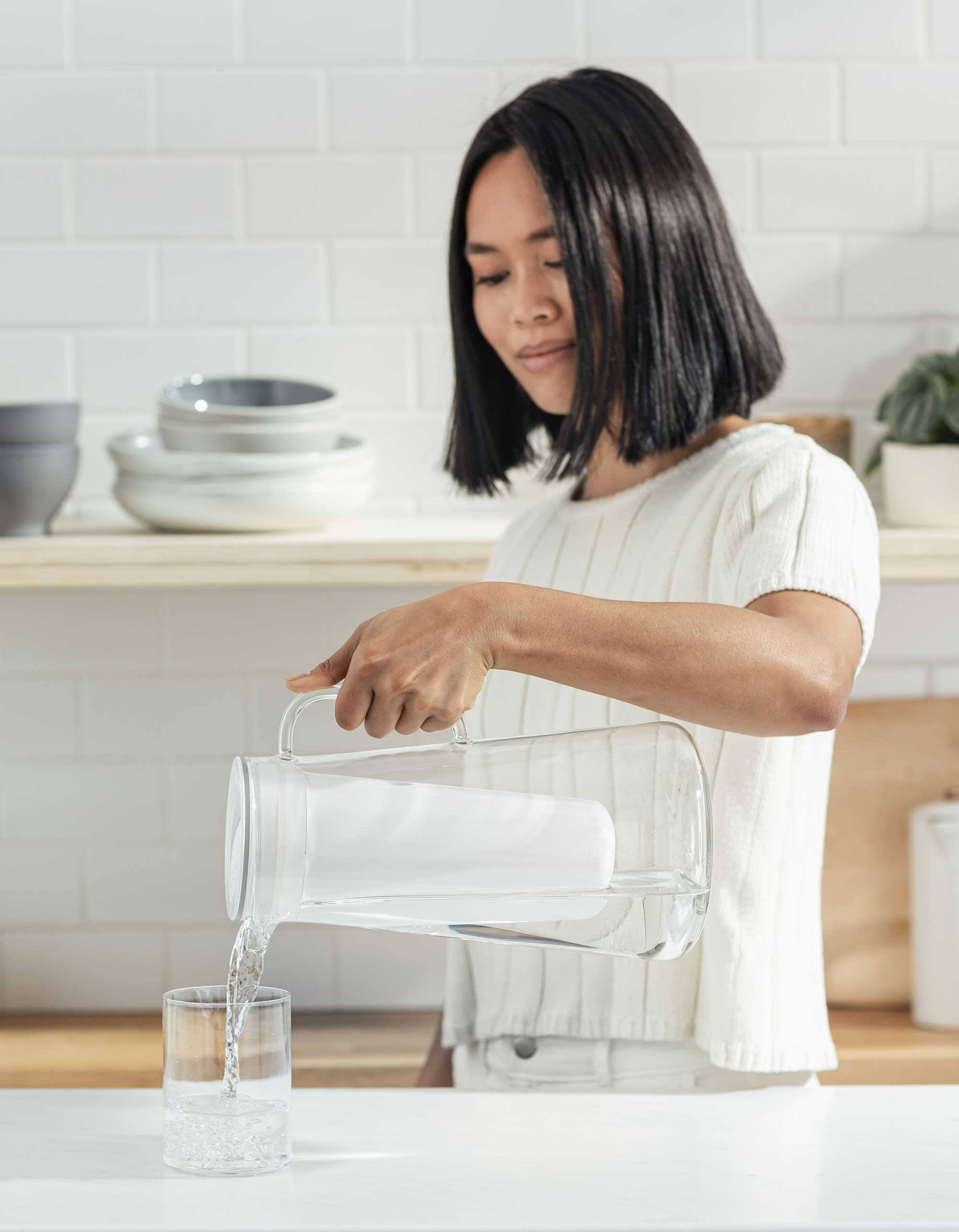 LifeStraw Home Replacement Filters Replacement Filter 1 Year Pack