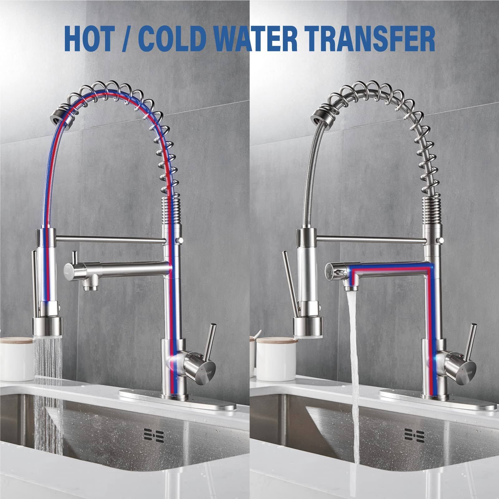 Kitchen Faucet with Pull Down Sprayer, Yundoom Brushed Nickel Kitchen Faucet, Faucet for Kitchen Sink, 2 Handle Kitchen Sink Faucets, RV Farmhouse